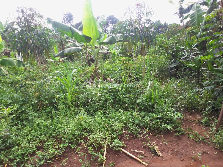 70ft * 100ft Plot, Ssaza Road, Mityana, Central Region, Mixed-use Land for Sale