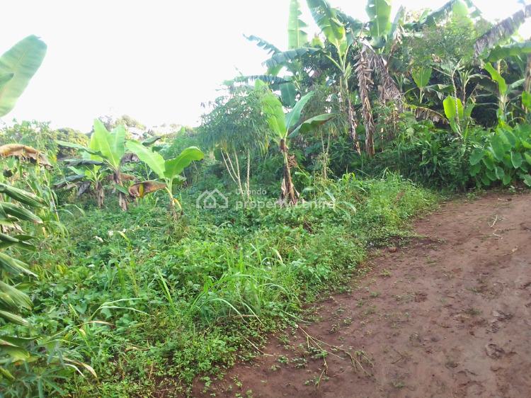 Prime Plot  50*100ft, Branch on Ssaza Grounds to Bukananga Beach Road, Mityana, Central Region, Mixed-use Land for Sale