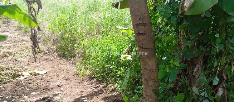 150 Very Fertile Acres in Kikyusa Luwero Each 8.5m, Kikyusa, Luweero, Central Region, Land for Sale