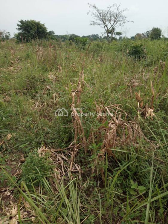 8acres at 96m Very Fertile and on Main,12km From Kikyusa Town, Luweero, Central Region, Land for Sale
