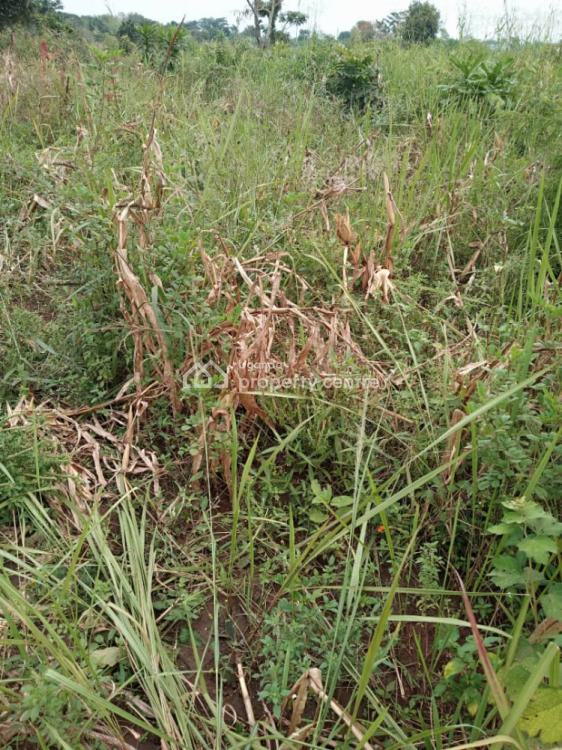 8acres at 96m Very Fertile and on Main,12km From Kikyusa Town, Luweero, Central Region, Land for Sale