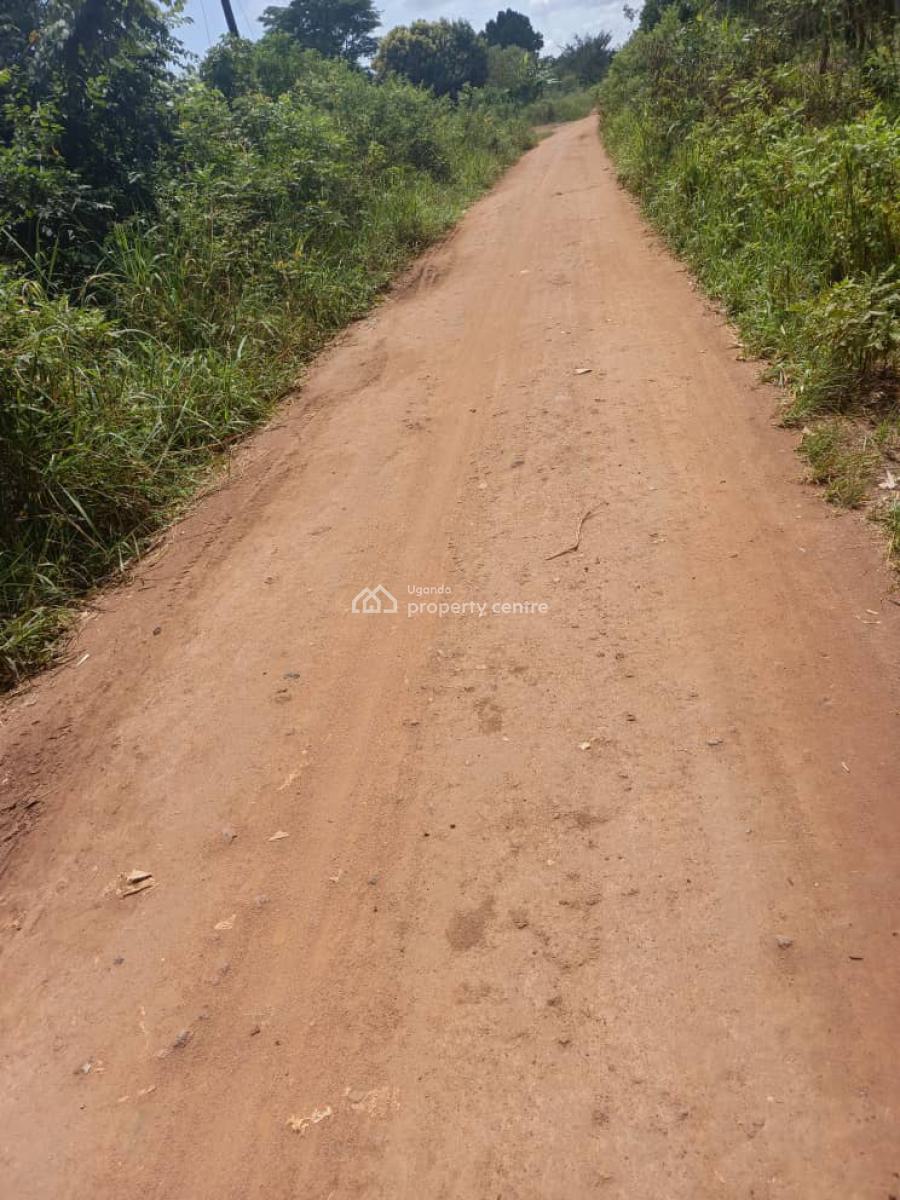 8acres at 96m Very Fertile and on Main,12km From Kikyusa Town, Luweero, Central Region, Land for Sale