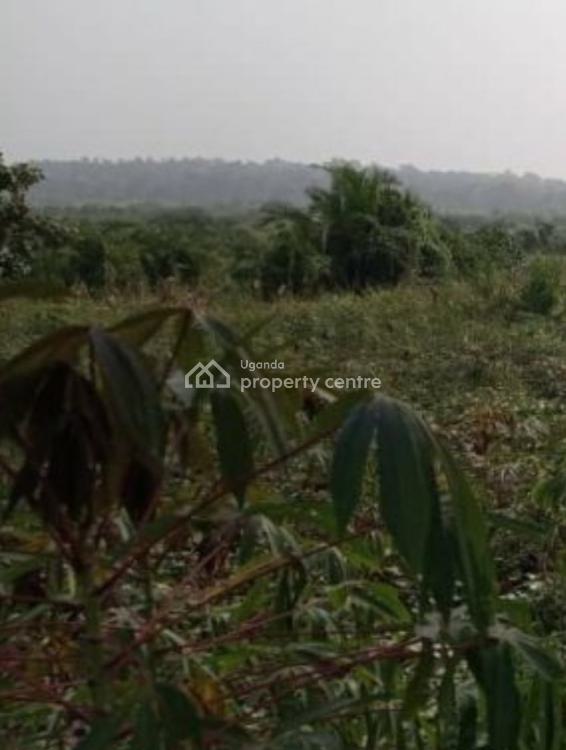 4 Square Mailo in Nakaseke, Nakaseke, Luweero, Central Region, Mixed-use Land for Sale