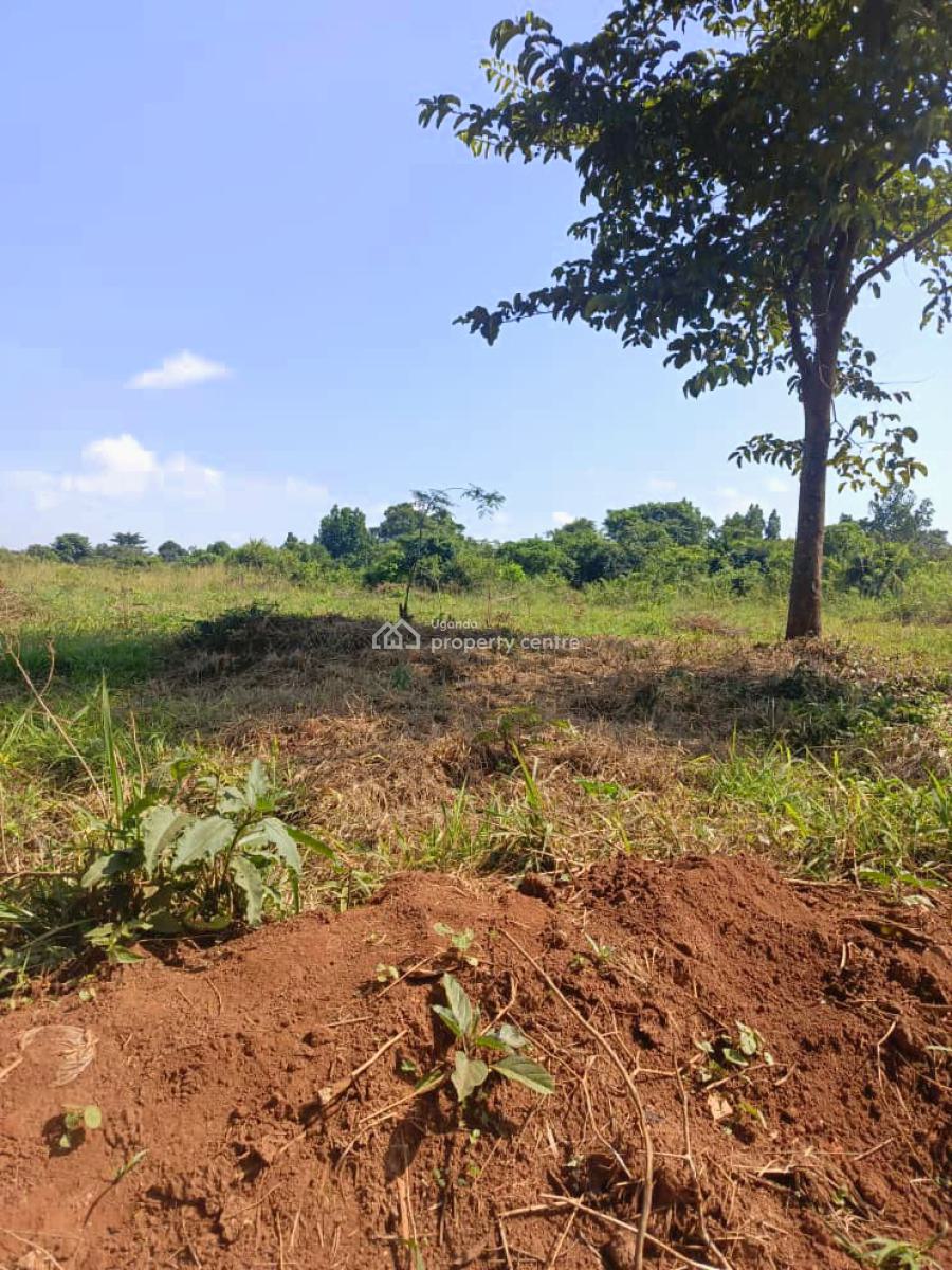 100 Acres of Land in Kikyusa Luwero, Kikyusa, Luweero, Luweero, Central Region, Mixed-use Land for Sale