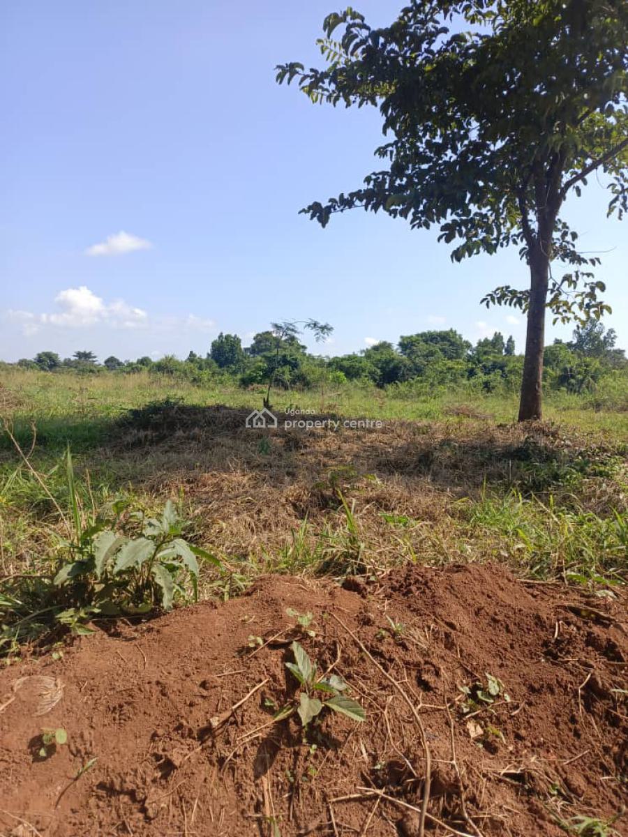 100 Acres of Land in Kikyusa Luwero, Kikyusa, Luweero, Luweero, Central Region, Mixed-use Land for Sale