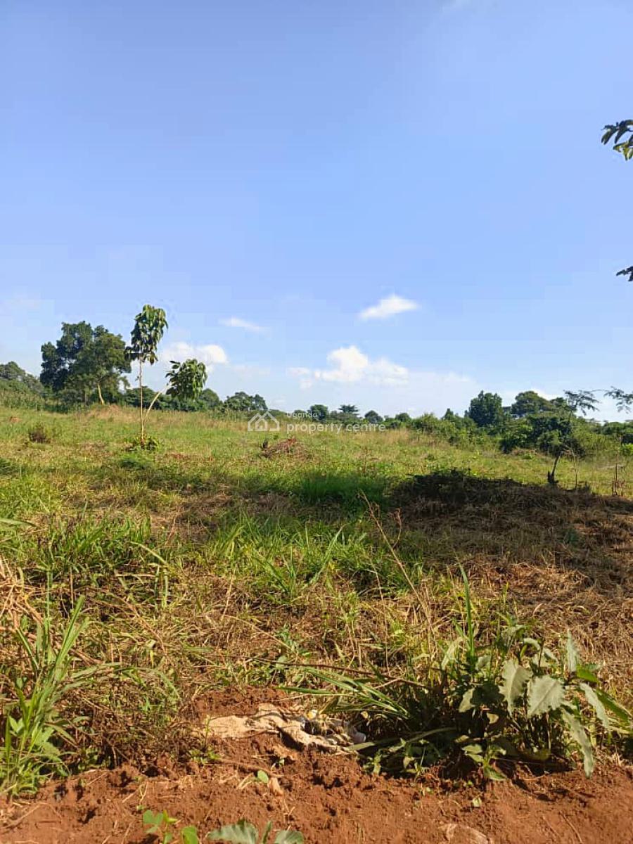 100 Acres of Land in Kikyusa Luwero, Kikyusa, Luweero, Luweero, Central Region, Mixed-use Land for Sale