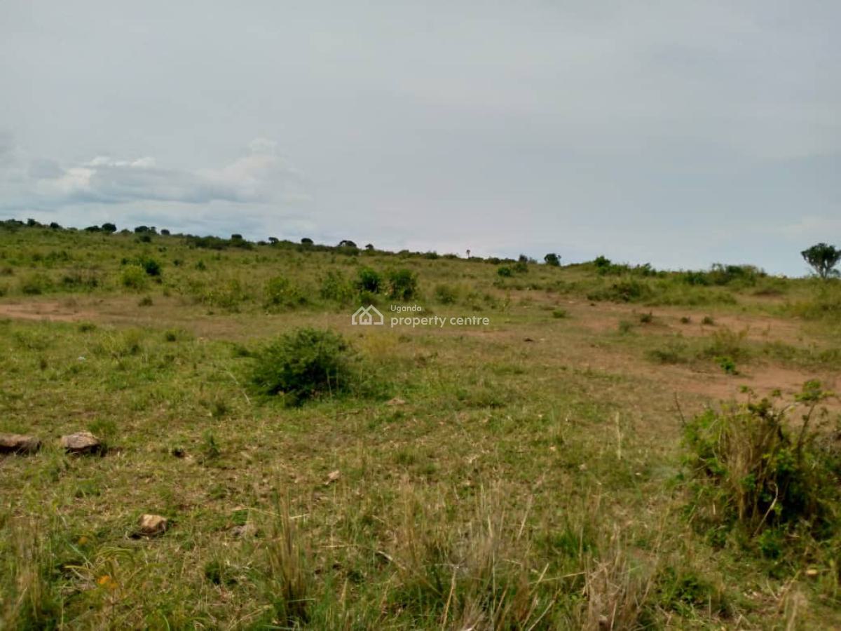 751 Acres, Hoima, Bugahya, Hoima, Western Region, Mixed-use Land for Sale