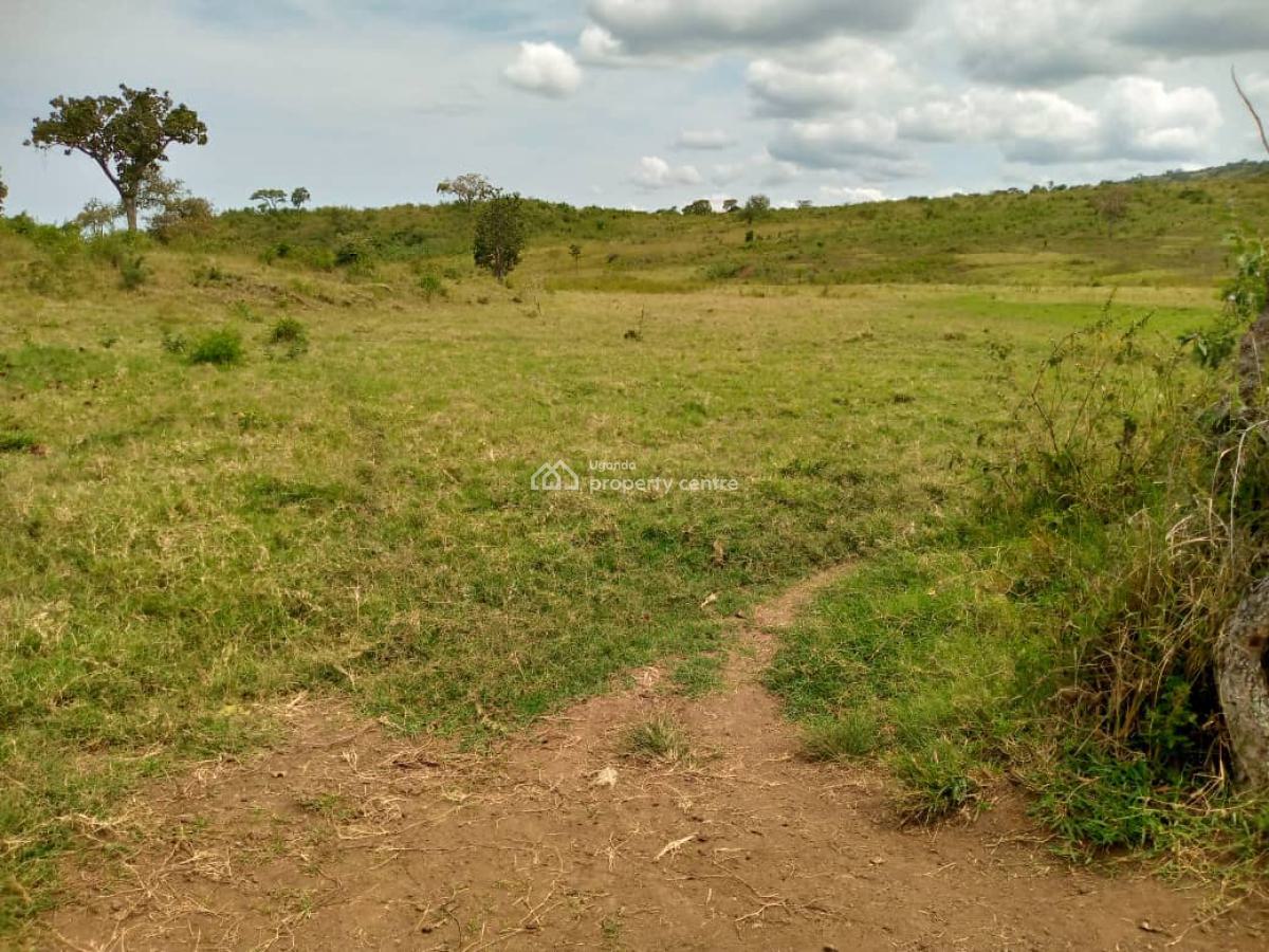 751 Acres, Hoima, Bugahya, Hoima, Western Region, Mixed-use Land for Sale