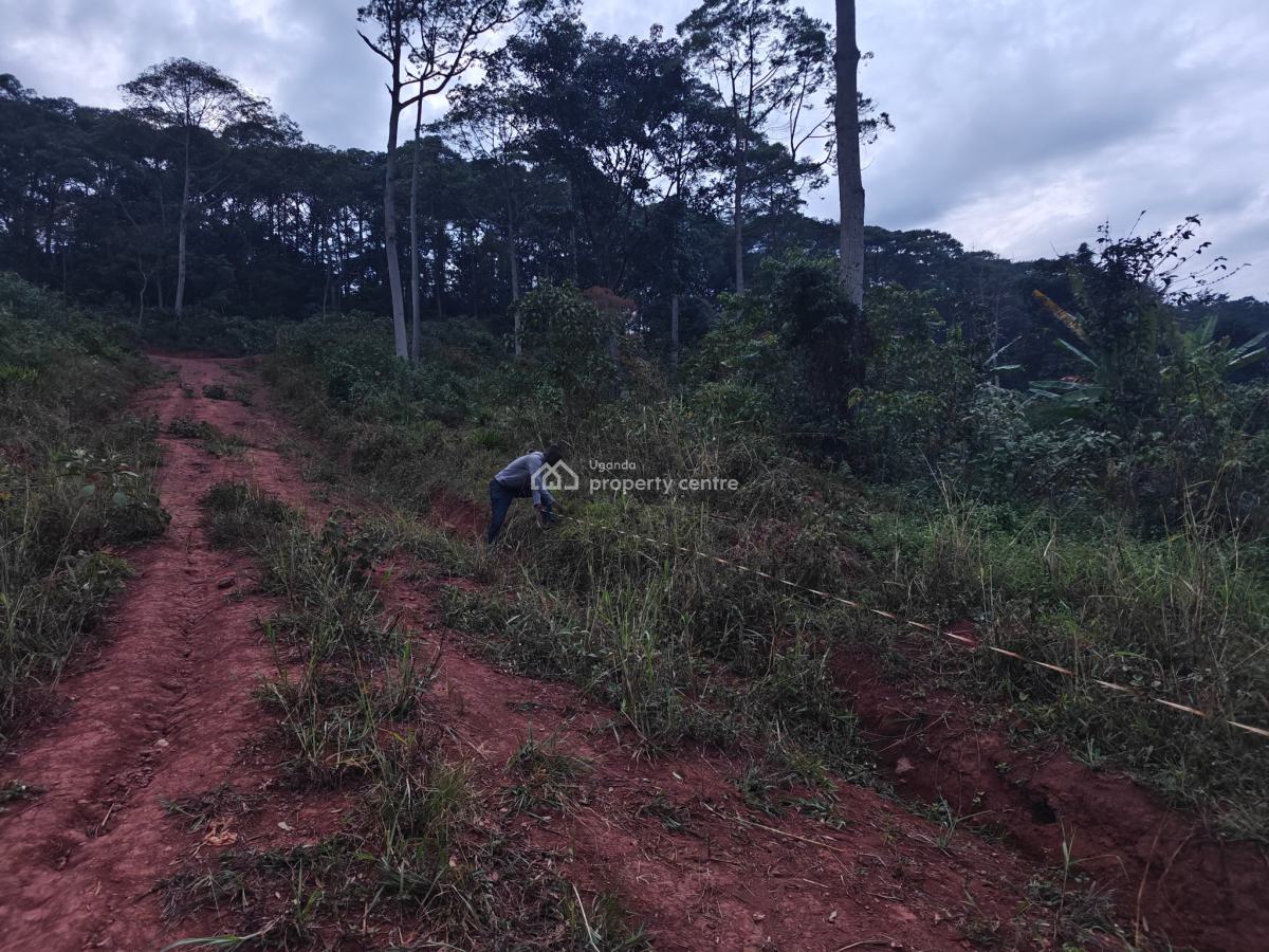 (50 × 100ft) Plot, Urgent Money Needed., Matugga / 15mins Off Bombo Road, Wakiso, Central Region, Residential Land for Sale