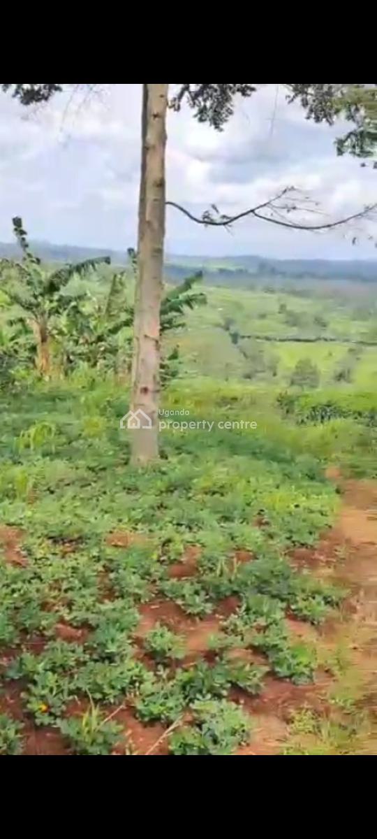 Farm House on 43.7 Acres, Bukuya, Mubende, Central Region, Land for Sale
