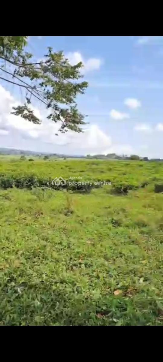 Farm House on 43.7 Acres, Bukuya, Mubende, Central Region, Land for Sale
