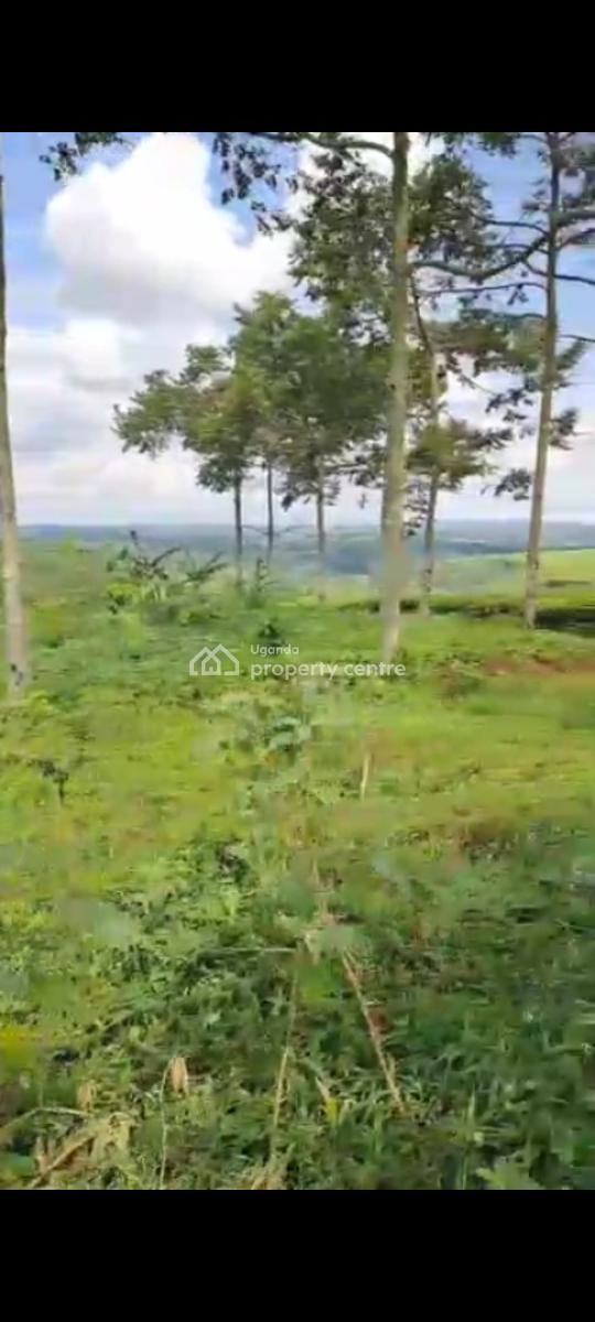 Farm House on 43.7 Acres, Bukuya, Mubende, Central Region, Land for Sale