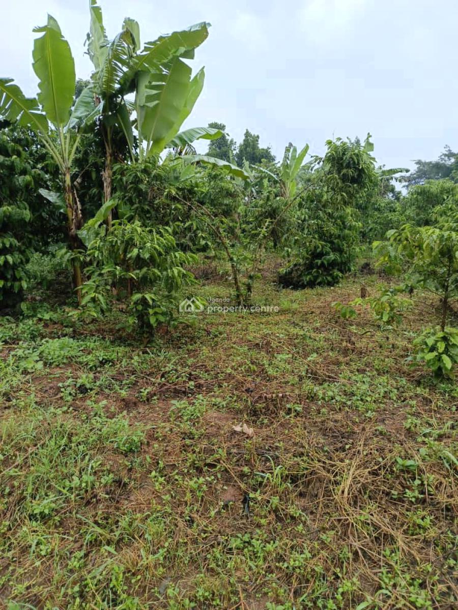 3 Fertile Acres Each at 17m Kikyusa Luwero, Kikyusa, Luweero, Central Region, Mixed-use Land for Sale