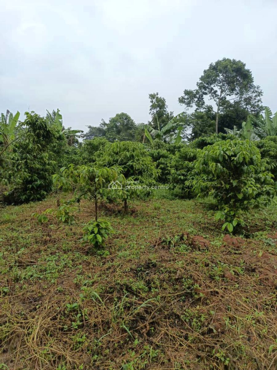 3 Fertile Acres Each at 17m Kikyusa Luwero, Kikyusa, Luweero, Central Region, Mixed-use Land for Sale