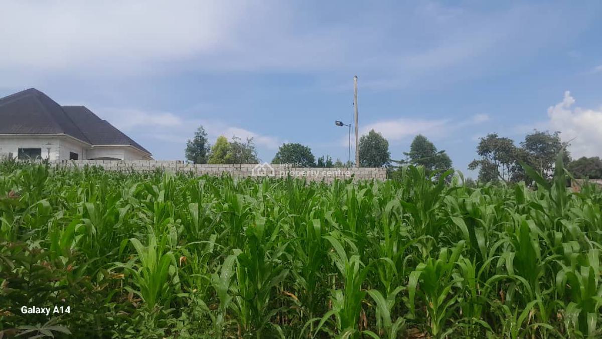 Plots in Mukono Mpoma Canana Estate with Ready Land Title Each at  80m, Mpoma Canana Estate, Mukono, Central Region, Mixed-use Land for Sale