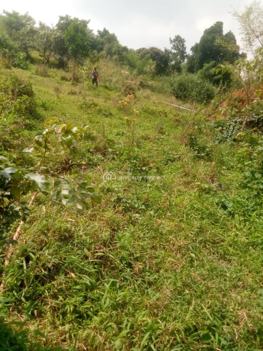 Land, Kakiri Town, Wakiso, Central Region, Land for Sale