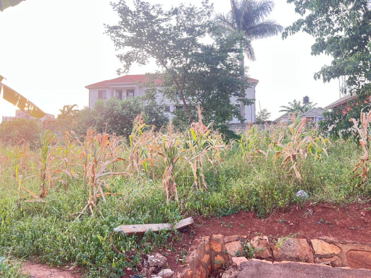 Residential Plot in Najjera Buwaate, Najjera Buwaate, Wakiso, Central Region, Residential Land for Sale