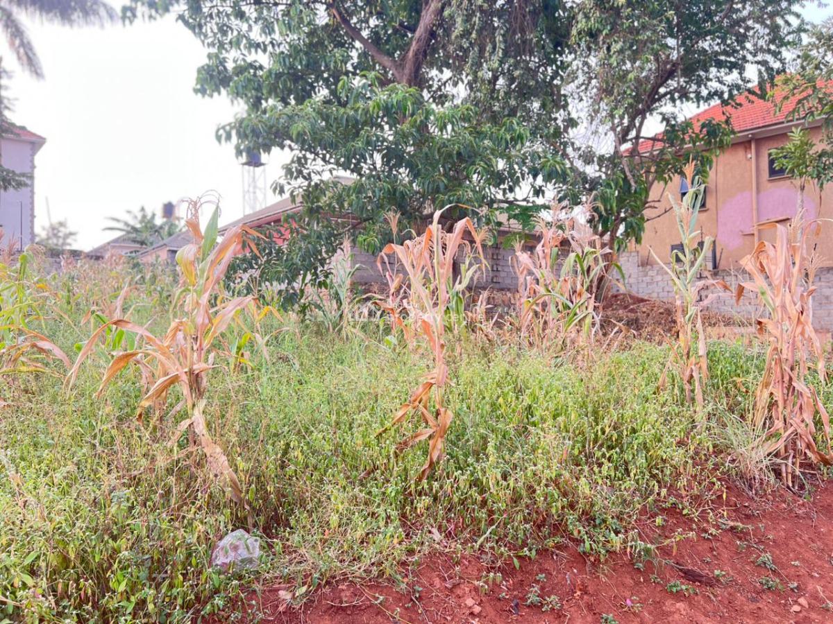 Residential Plot in Najjera Buwaate, Najjera Buwaate, Wakiso, Central Region, Residential Land for Sale