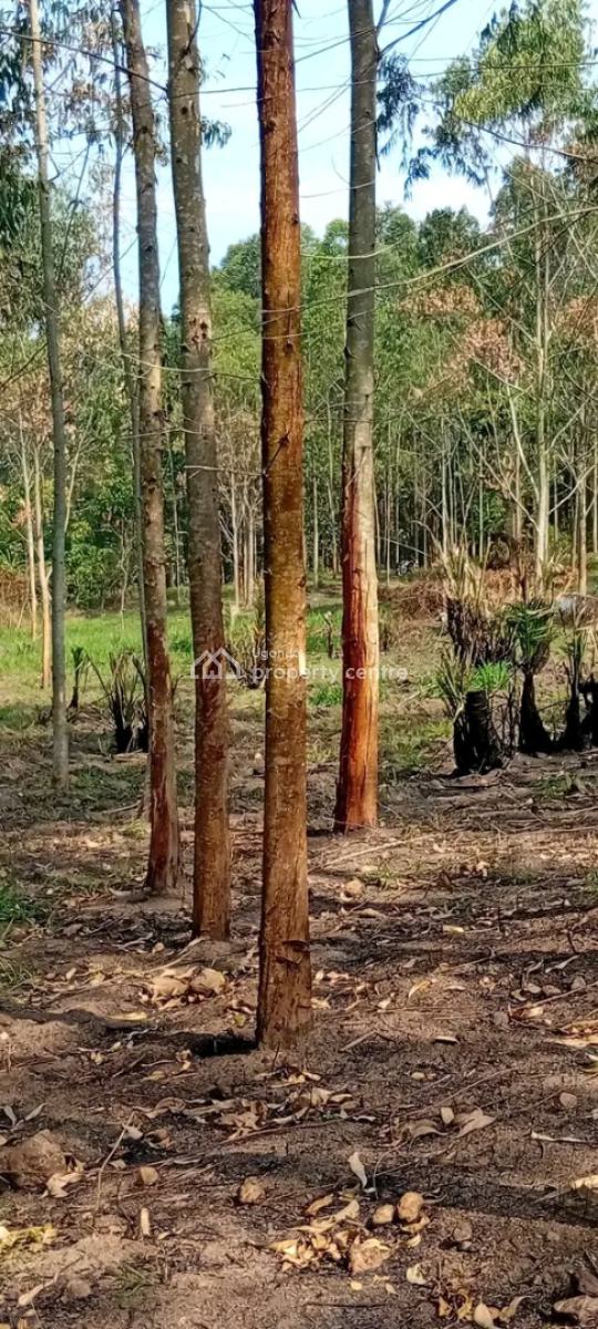 5 Acres of Private Mailo Land at Semuto, 7km Off Semuto Town Wobulenzi Rd, Nakaseke, Central Region, Mixed-use Land for Sale
