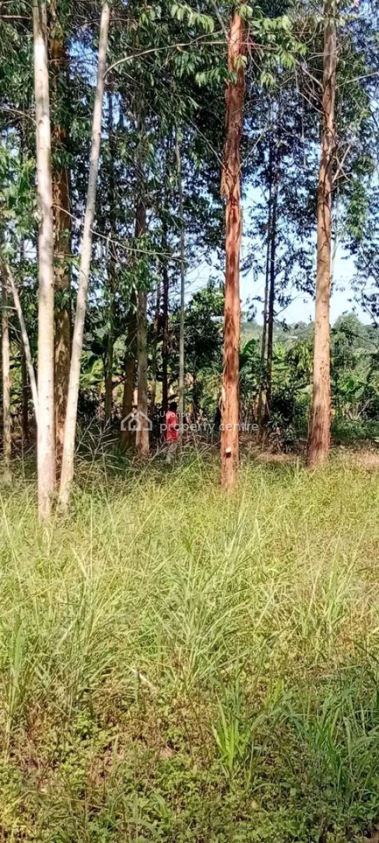 5 Acres of Private Mailo Land at Semuto, 7km Off Semuto Town Wobulenzi Rd, Nakaseke, Central Region, Mixed-use Land for Sale