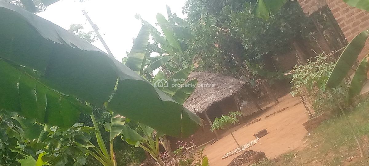 100ft By 50ft Plot of Land in a Well Developed Area, Pallisa Town Council, Hospital Ward Parish, Kinomu B, Igoe Street, Pallisa, Pallisa, Eastern Region, Residential Land for Sale