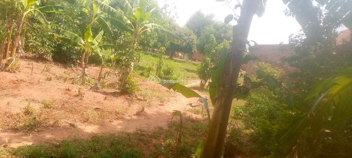100ft By 50ft Plot of Land in a Well Developed Area, Pallisa Town Council, Hospital Ward Parish, Kinomu B, Igoe Street, Pallisa, Pallisa, Eastern Region, Residential Land for Sale