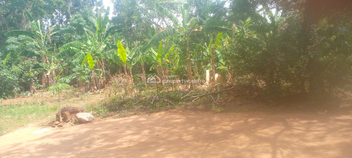 100ft By 50ft Plot of Land in a Well Developed Area, Pallisa Town Council, Hospital Ward Parish, Kinomu B, Igoe Street, Pallisa, Pallisa, Eastern Region, Residential Land for Sale