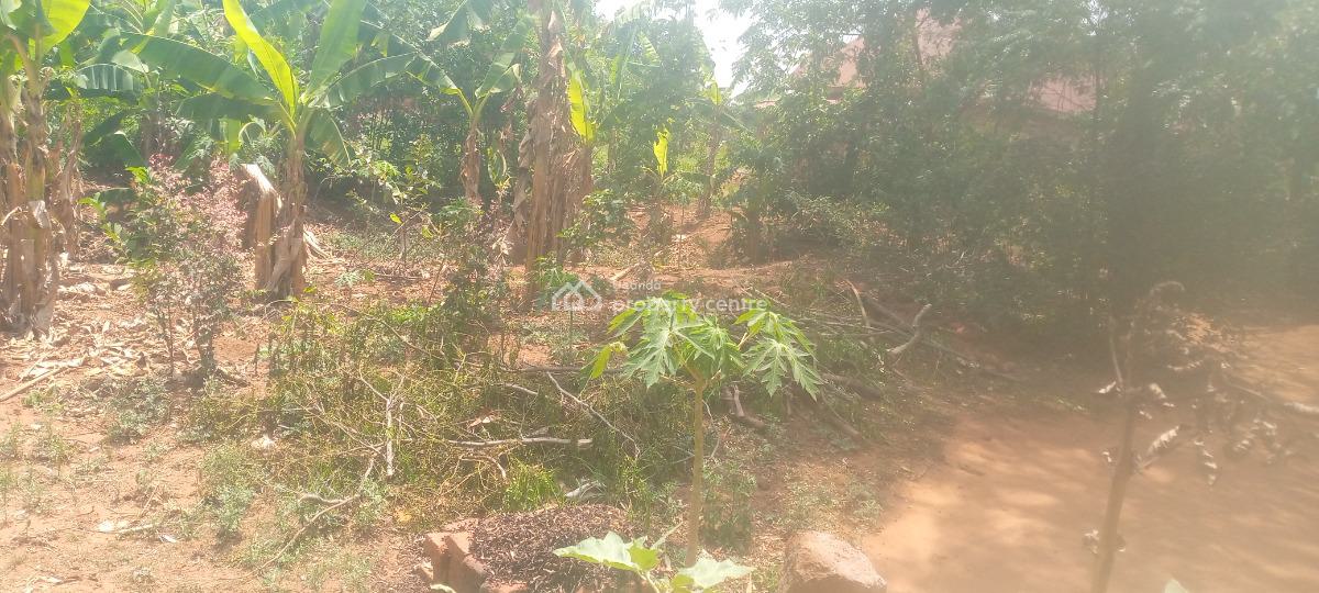 100ft By 50ft Plot of Land in a Well Developed Area, Pallisa Town Council, Hospital Ward Parish, Kinomu B, Igoe Street, Pallisa, Pallisa, Eastern Region, Residential Land for Sale