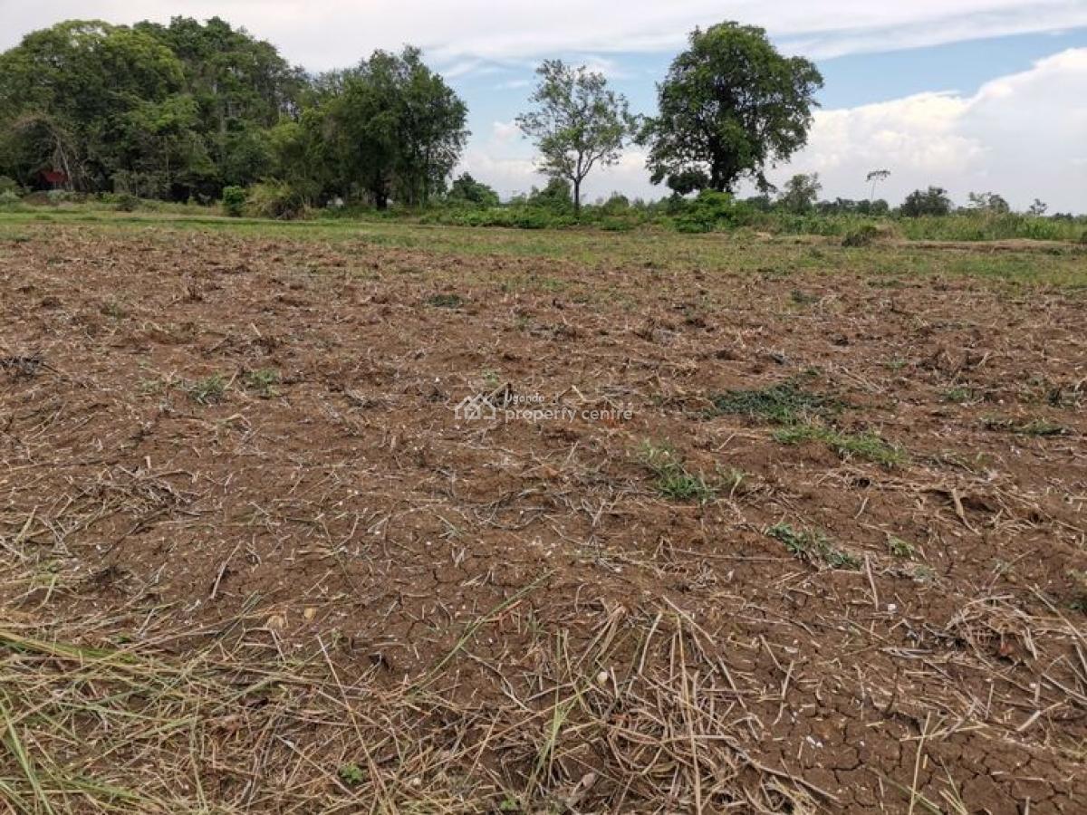 Residential Acre Plots in Mukono, Nakifuma, Namakoma Village, Mukono, Central Region, Residential Land for Sale