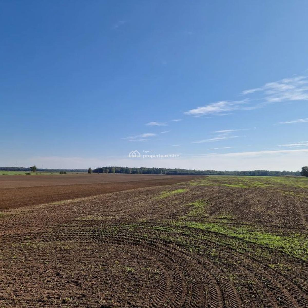 Residential Acre Plots in Mukono, Nakifuma, Namakoma Village, Mukono, Central Region, Residential Land for Sale