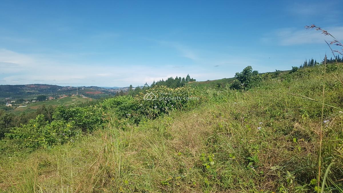 2.3 Acres of Residential Land with a Full Hillview, Nakawuka Mpumudde, Wakiso, Central Region, Residential Land for Sale
