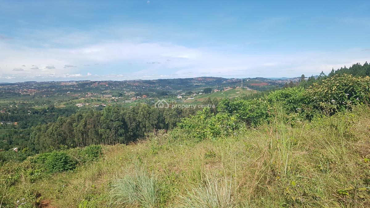 2.3 Acres of Residential Land with a Full Hillview, Nakawuka Mpumudde, Wakiso, Central Region, Residential Land for Sale
