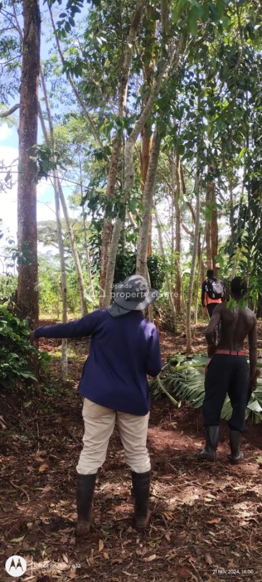 2 Acres of Land on Serene Location, Mukono-kisoga-njeru, Buikwe, Central Region, Mixed-use Land for Sale