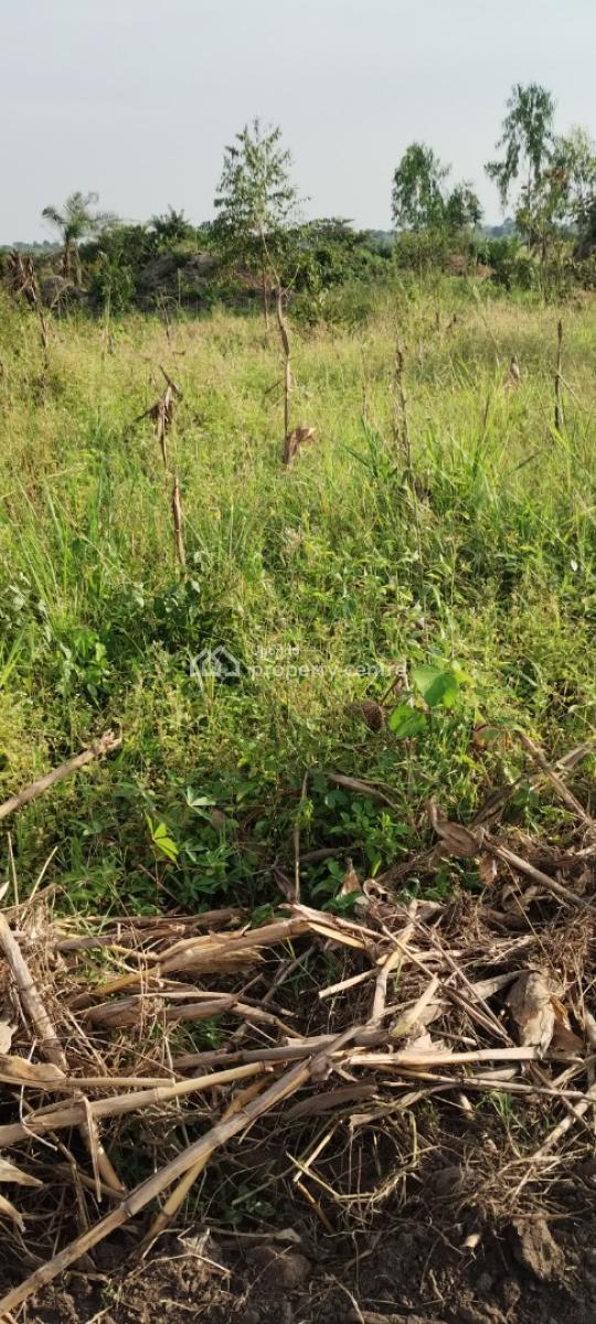 2 Acres of Land on Serene Location, Mukono-kisoga-njeru, Buikwe, Central Region, Mixed-use Land for Sale