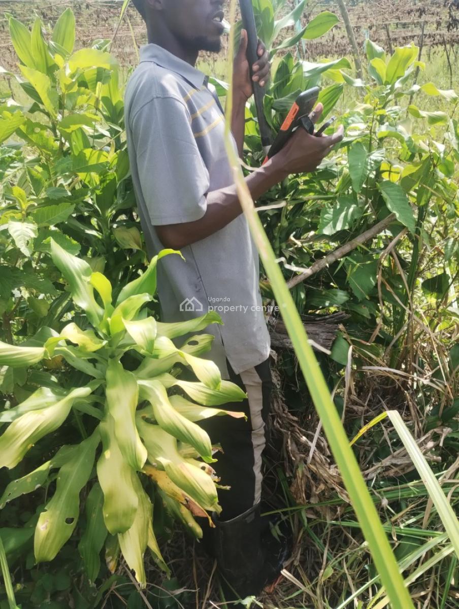 2 Acres of Land on Serene Location, Mukono-kisoga-njeru, Buikwe, Central Region, Mixed-use Land for Sale