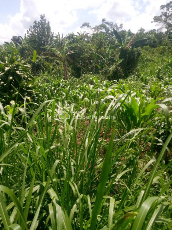 4 Acres of Land, Kakiri Town, Wakiso, Central Region, Mixed-use Land for Sale