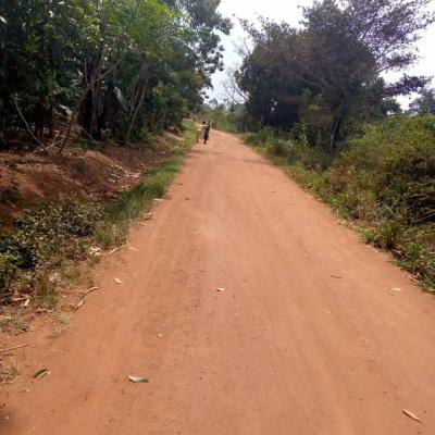 60acres  Each at 12m ,13km From Kikyusa Town, Luweero, Central Region, Land for Sale