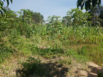 7.43 Acres of Land in Namugongo Sonde — Namugongo Sonde, Wakiso, Central Region