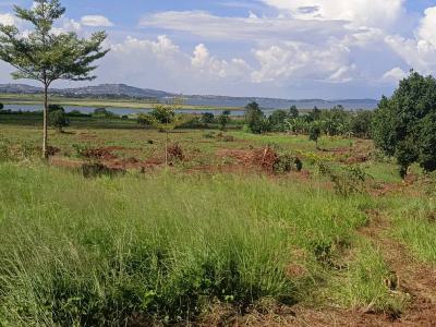 80 Acres of Lakefront Land in Bwerenga Kawuku Entebbe Road, Bwerenga Kawuku Entebbe Road, Wakiso, Central Region, Residential Land for Sale