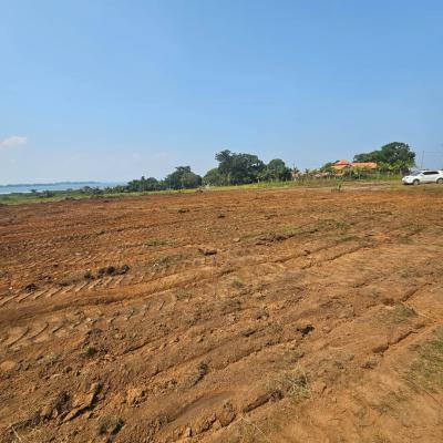 Lakeview Plots in Kawuku Bwerenga Off Entebbe Road, Kawuku Bwerenga, Bugiri, Wakiso, Central Region, Residential Land for Sale