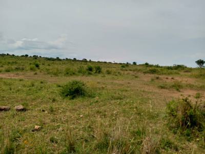 751 Acres, Hoima, Bugahya, Hoima, Western Region, Mixed-use Land for Sale
