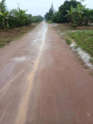 3 Fertile Acres Each at 17m Kikyusa Luwero, Kikyusa, Luweero, Central Region, Mixed-use Land for Sale