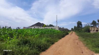 Plots in Mukono Mpoma Canana Estate with Ready Land Title Each at  80m, Mpoma Canana Estate, Mukono, Central Region, Mixed-use Land for Sale