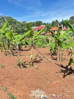 Residential Plots in Kira, Kira Nsasa Estate, Kira Town, Wakiso, Central Region, Residential Land for Sale