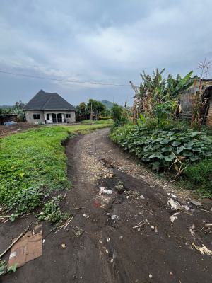 Prime Land Measuring 1.26acres, Fort Portal Road, Kasingo, Hoima, Western Region, Mixed-use Land for Sale