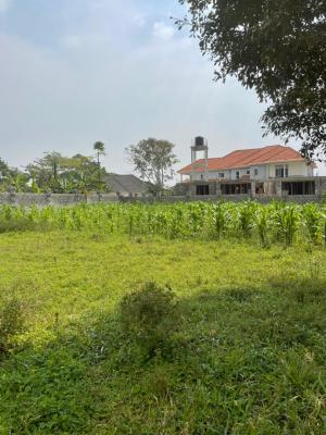 Kira Kitukutwe at 100m 15 Decimal, Kira Kitukutwe, Kampala, Central Region, Land for Sale