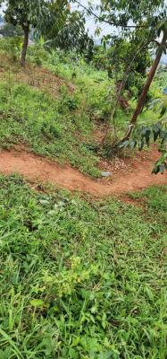 Etaka Lyendagano, Kasaana, Masaka, Central Region, Mixed-use Land for Sale