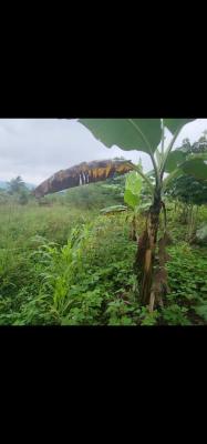 Etaka Lyendagano, Kasaana, Masaka, Central Region, Mixed-use Land for Sale