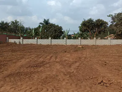 Busukuma Gentle Slope