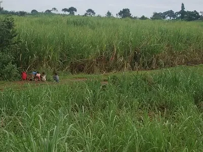 25 * 40 Land in a Good Location — Nakaswa Namaliri Opposite Nakaswa Primary School, Mukono, Central Region